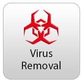 virus removal image